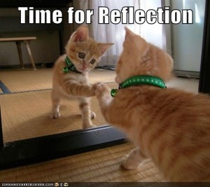 Time for Reflection