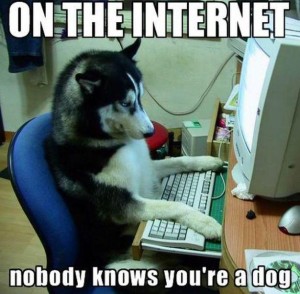 dogontheniternet