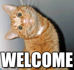 welcome-cat