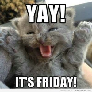 yay_its_friday_kitten_meme